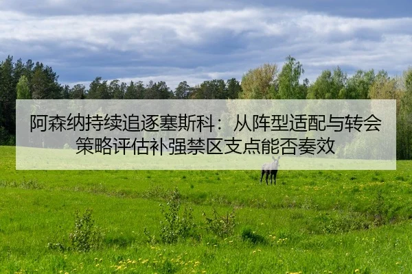 a-sen-na-chi-xu-zhui-zhu-sai-si-ke-cong-zhen-xing-shi-pei-yu-zhuan-hui-ce-lve-ping-gu-bu-qiang-jin-qu-zhi-dian-neng-fou-2-355.jpg